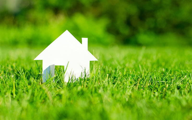 blog How to Make Your Home Greener