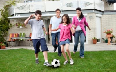 How Landscaping Helps Energy Efficiency