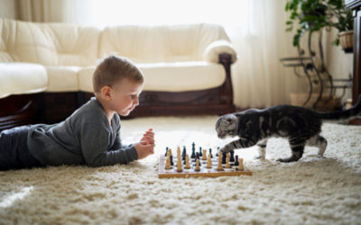 HVAC System Maintenance Tips for Pet Owners